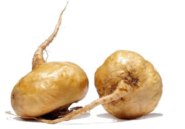 Maca